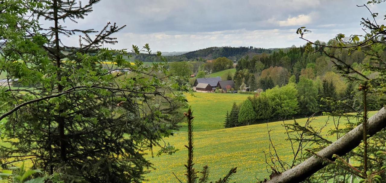 Appartamento Zum Elleblick Frauenstein  Esterno foto