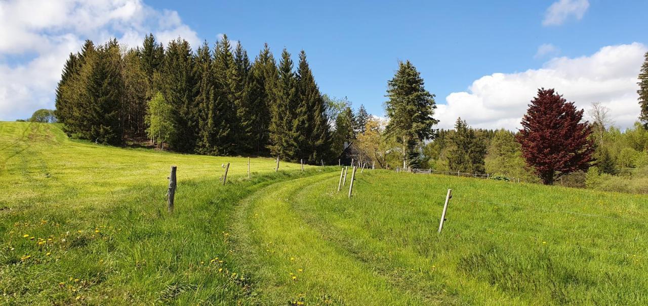 Appartamento Zum Elleblick Frauenstein  Esterno foto