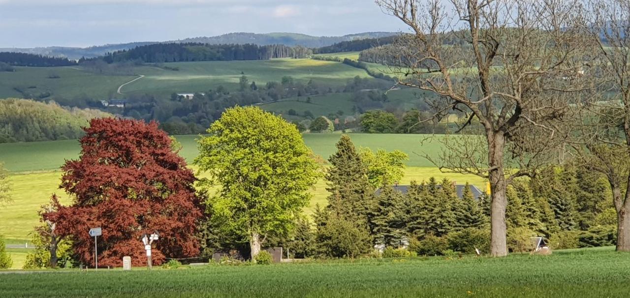 Appartamento Zum Elleblick Frauenstein  Esterno foto