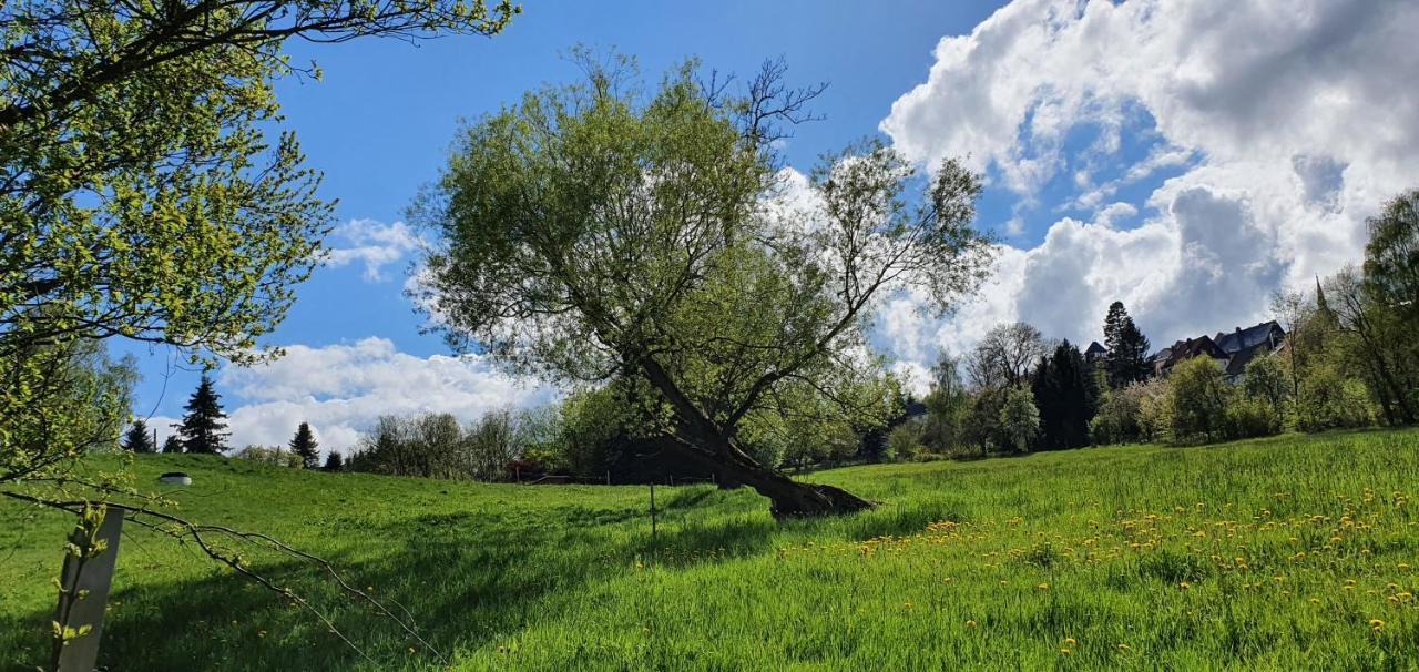 Appartamento Zum Elleblick Frauenstein  Esterno foto