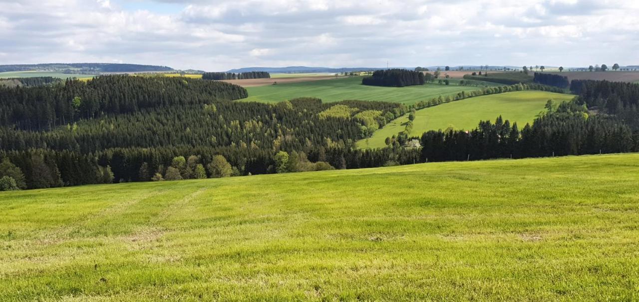 Appartamento Zum Elleblick Frauenstein  Esterno foto