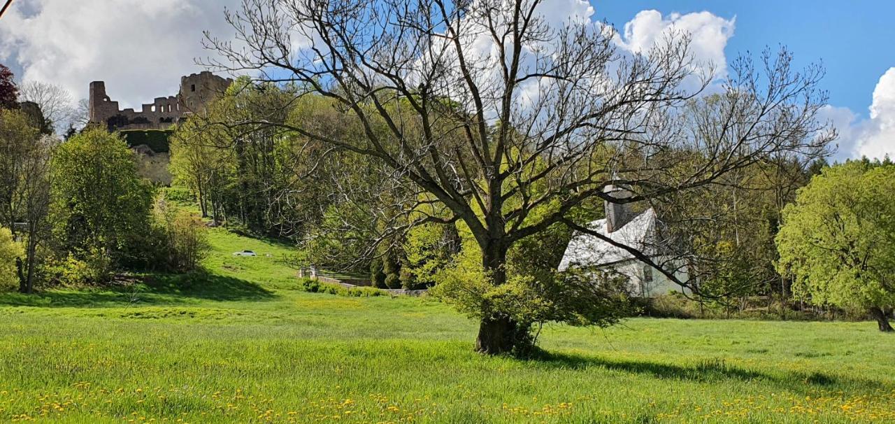 Appartamento Zum Elleblick Frauenstein  Esterno foto