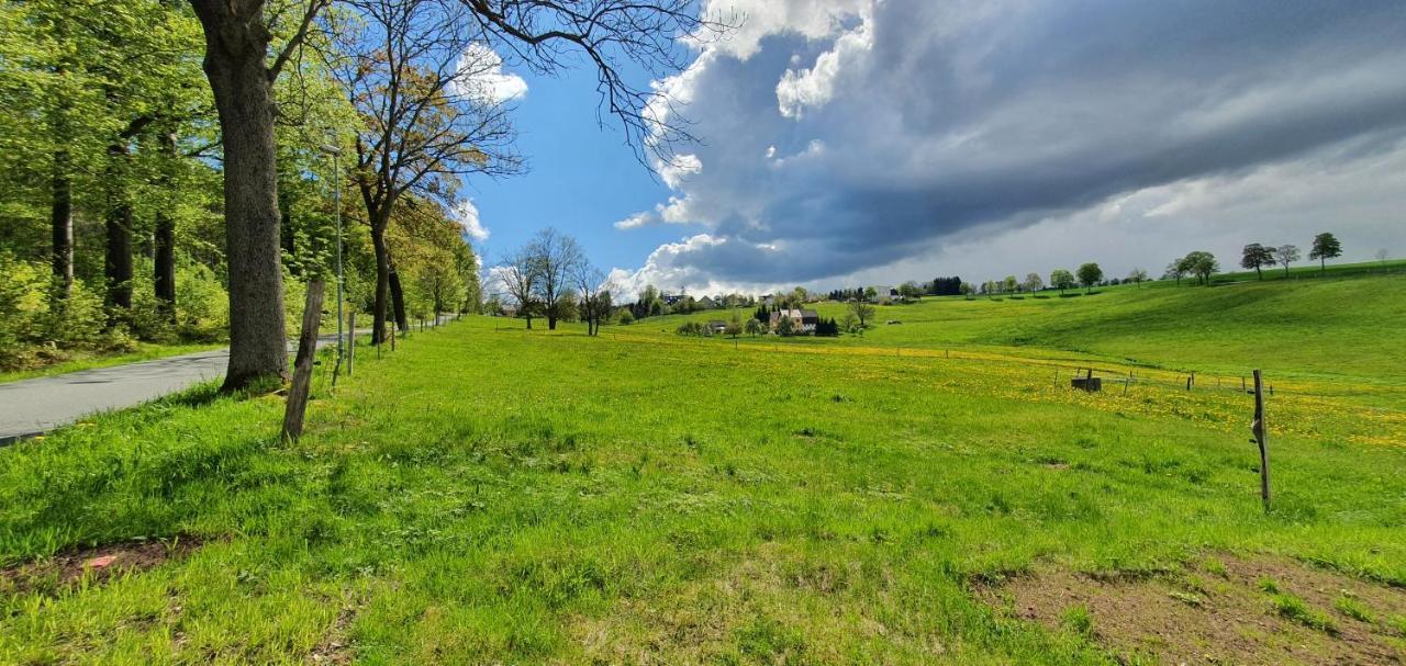 Appartamento Zum Elleblick Frauenstein  Esterno foto