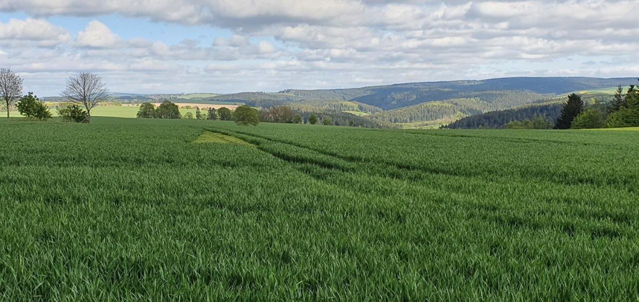 Appartamento Zum Elleblick Frauenstein  Esterno foto