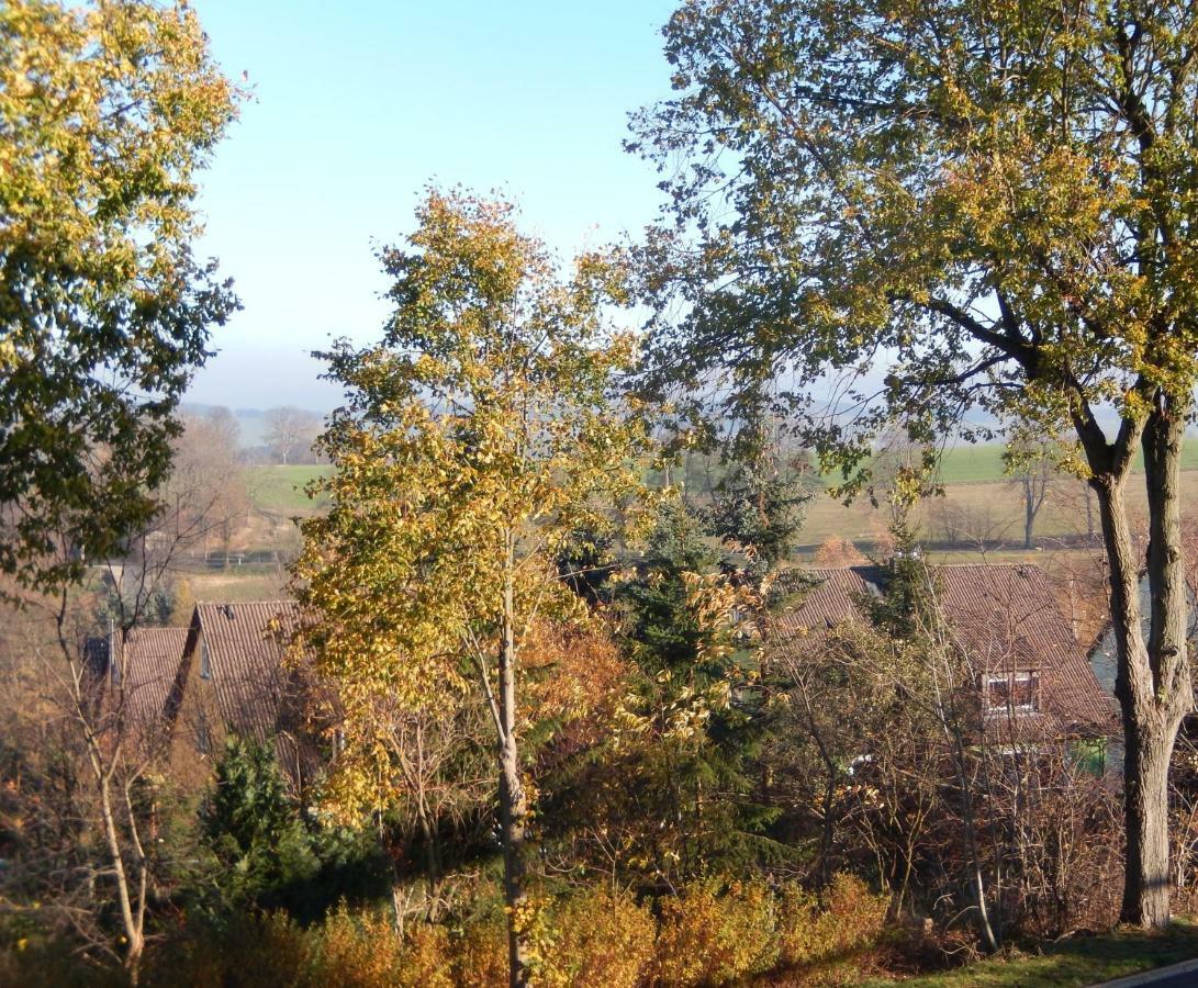 Appartamento Zum Elleblick Frauenstein  Esterno foto